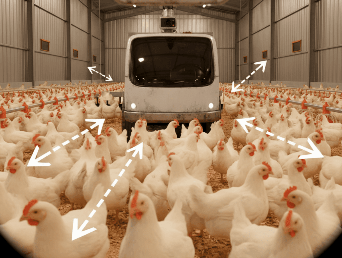 Aktif Hareket Sistemi